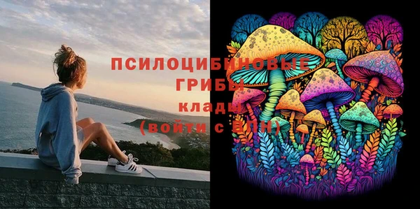 a pvp Тихорецк