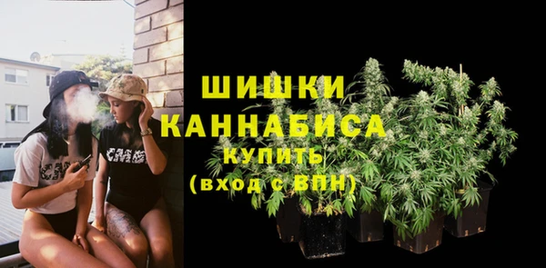 ALPHA-PVP Туринск