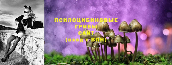 ALPHA-PVP Туринск