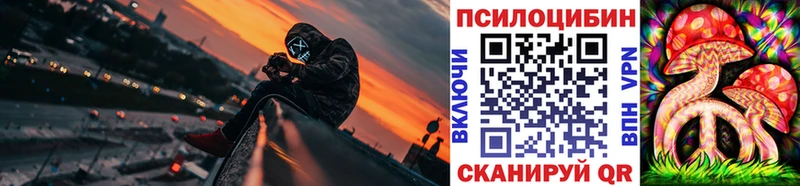 Галлюциногенные грибы Psilocybine cubensis  Краснообск 